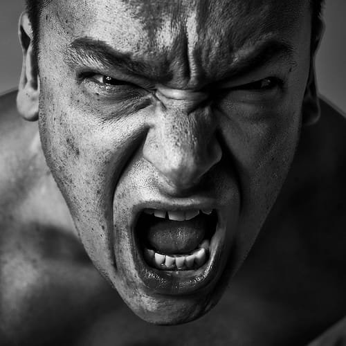 La frialdad y el Odio